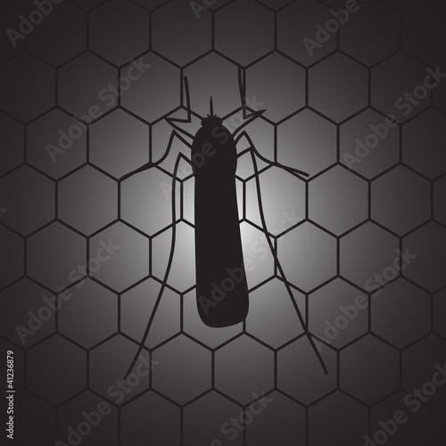 Mosquito