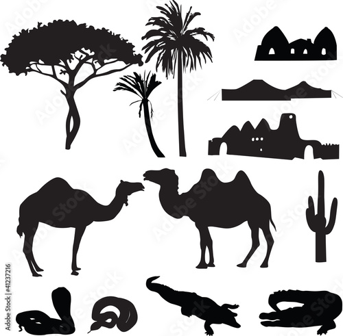 silhouettes of African desert