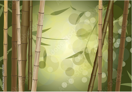 background bamboo thickets