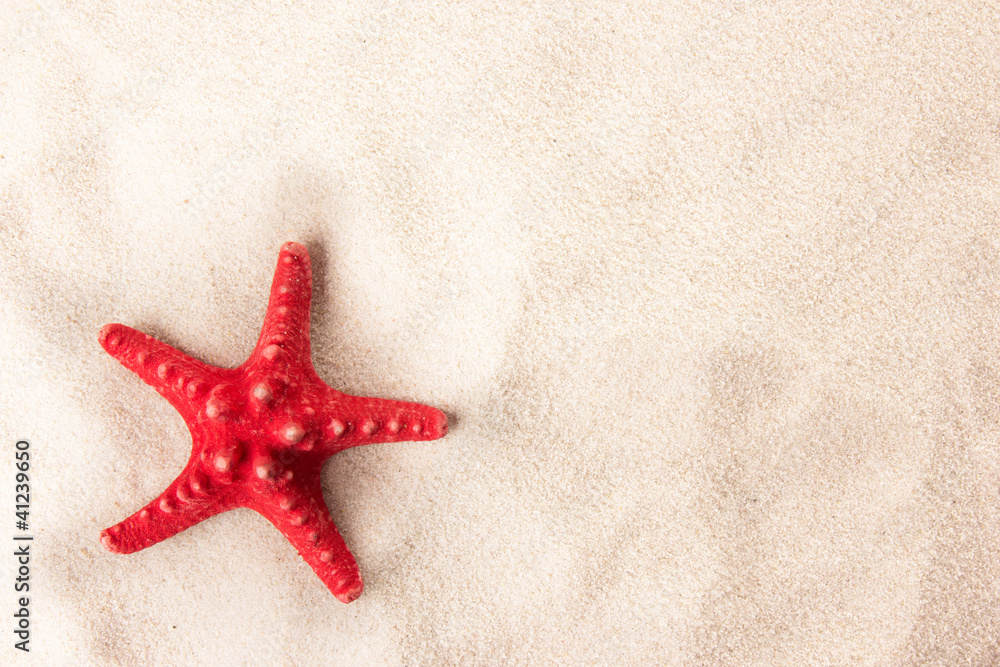 Red starfish on a beach