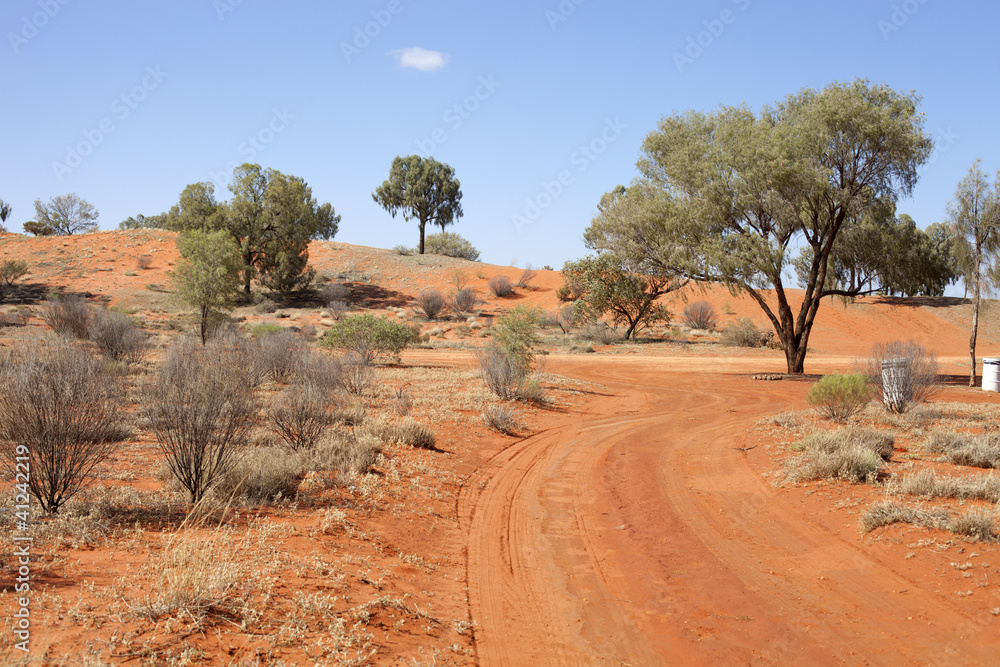 red sandy road in desert between lonly trees