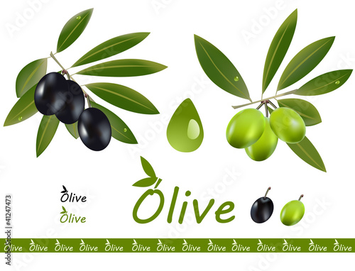 Olive branches set