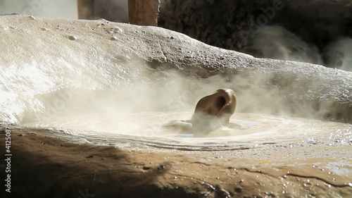 Mud bubble