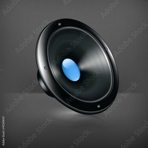 Speaker, vector