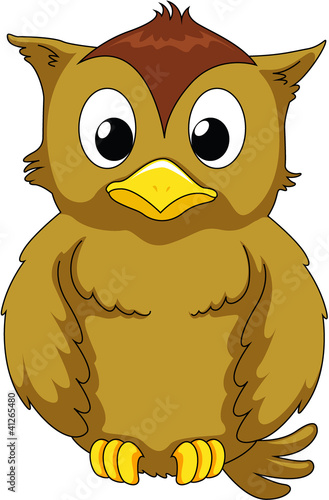 Wise owl