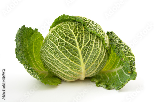 Savoy cabbage head isolated on white background
