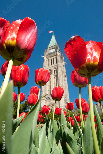 Spring in Ottawa photo