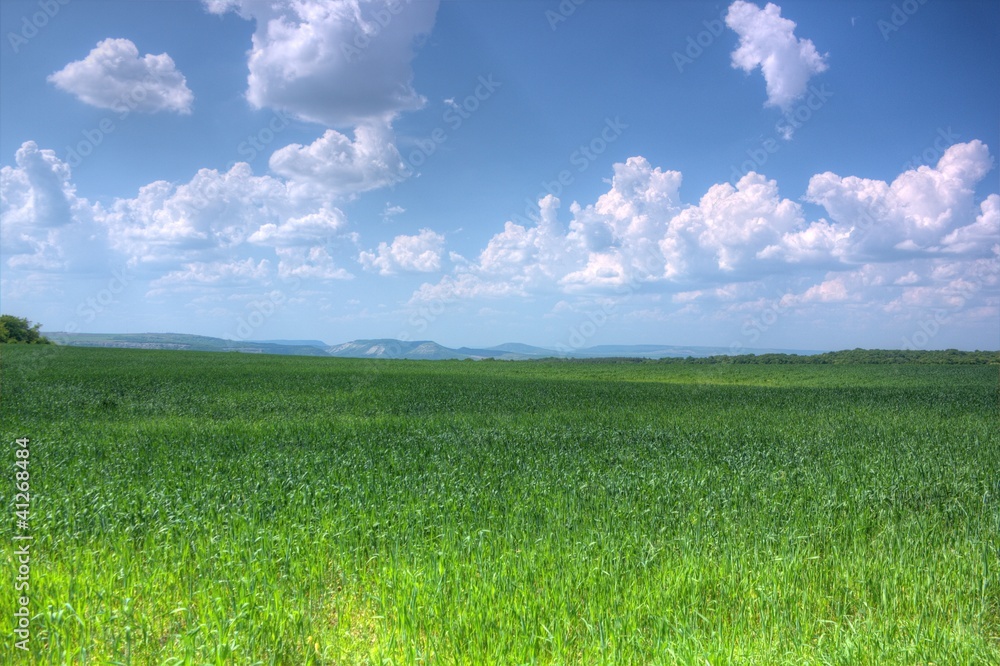 Obraz premium Provadia_Landscape 2.1
