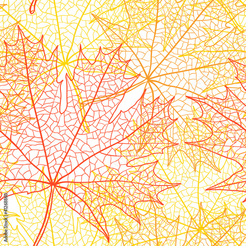 Autumn macro leaf of maple. Vector bacground.