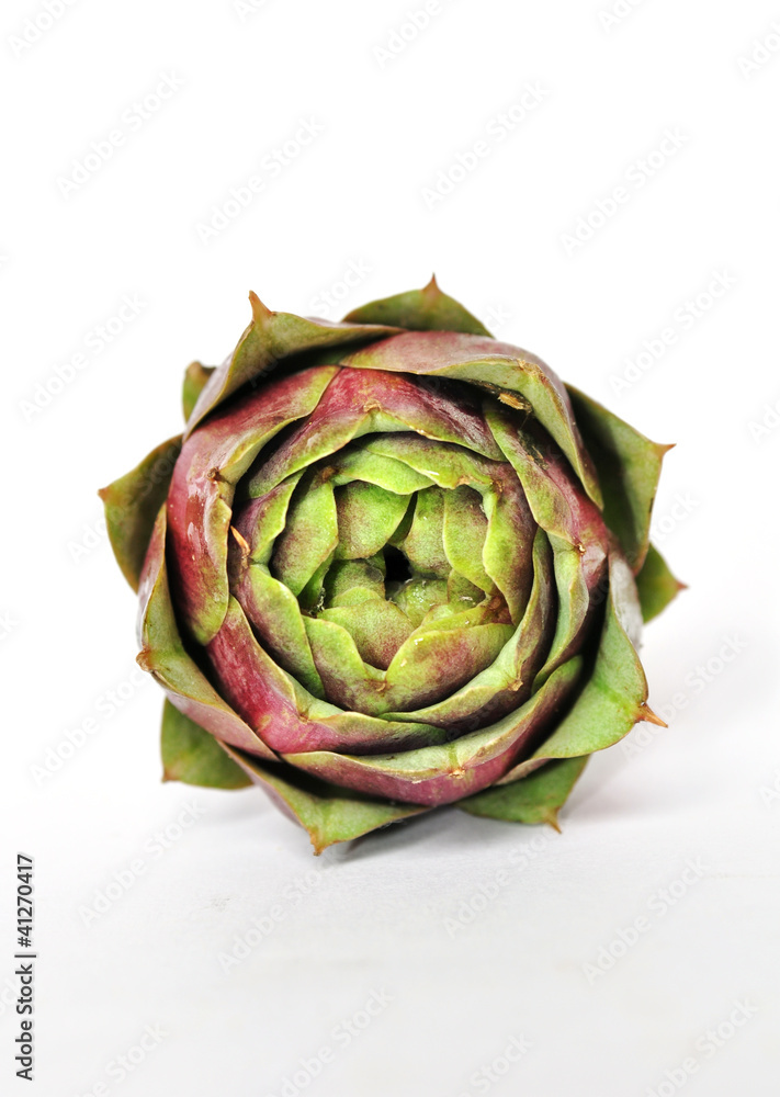 Fototapeta premium Carciofo crudo isolato fondo bianco