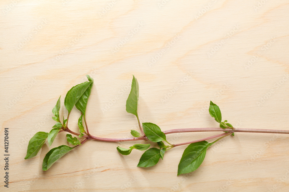 Mint twig on on chopping board Mint twig on on chopping board