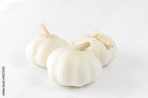 Garlic Light Up