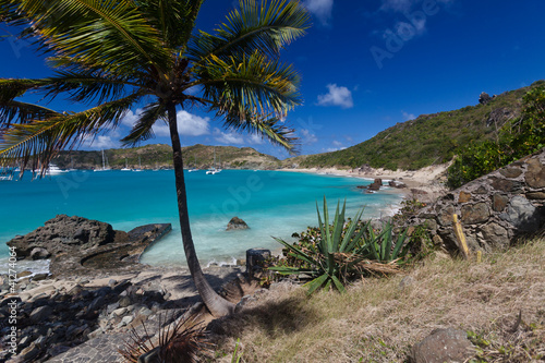 Obraz na płótnie Anse à Colombier à Saint Barthélémy
