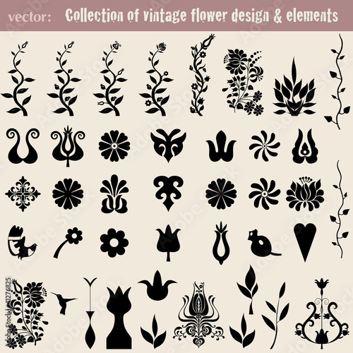 Vintage decoration elements for your design.Vector