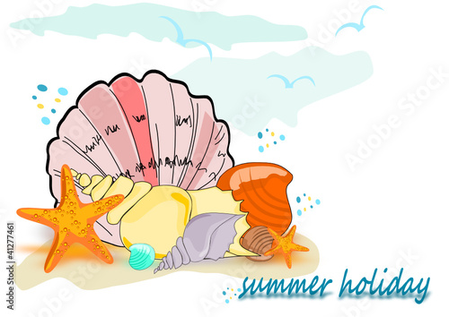 Sommerferien , Muscheln und Seestern