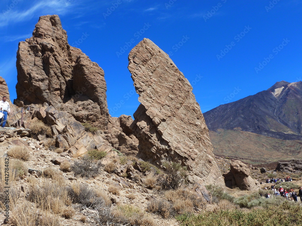 Fototapeta premium paysage sauvage