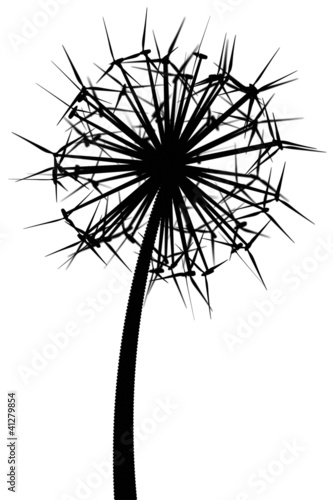 Dandelion from the wind generators  black and white version 