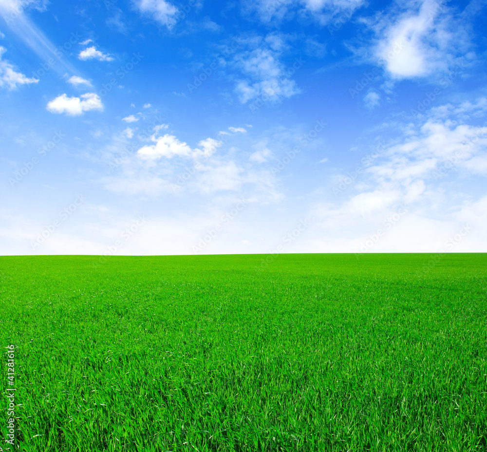 Field Field