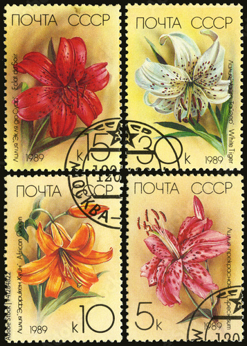 Flower lilium, postage stamp photo