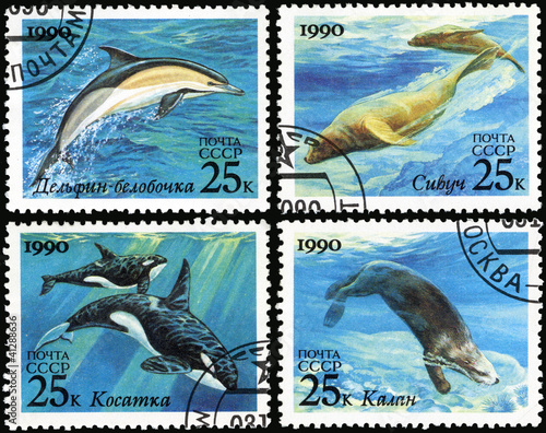 Sea Mammals, series, postage stamp of the USSR