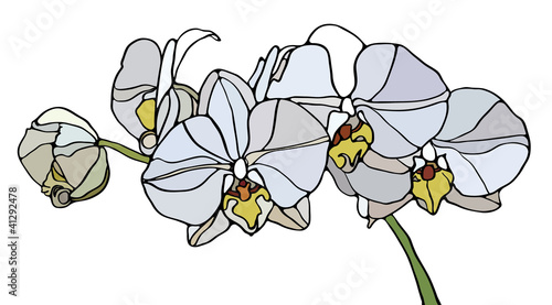 Orchid stained glass
