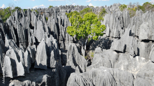 Tsingy de Bemaraha, Mahajanga, Madagascar photo