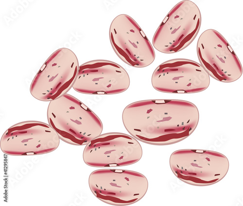 fagioli borlotti
