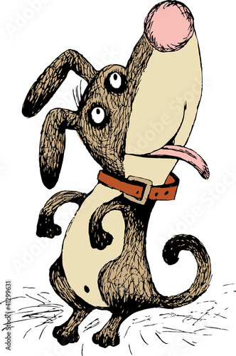 funny dog stands on its hind legs