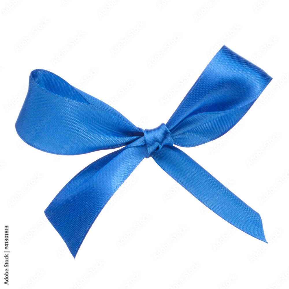 Festive  blue gift  bow