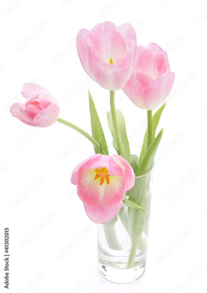Pink tulips bouquet in vase isolated on white background