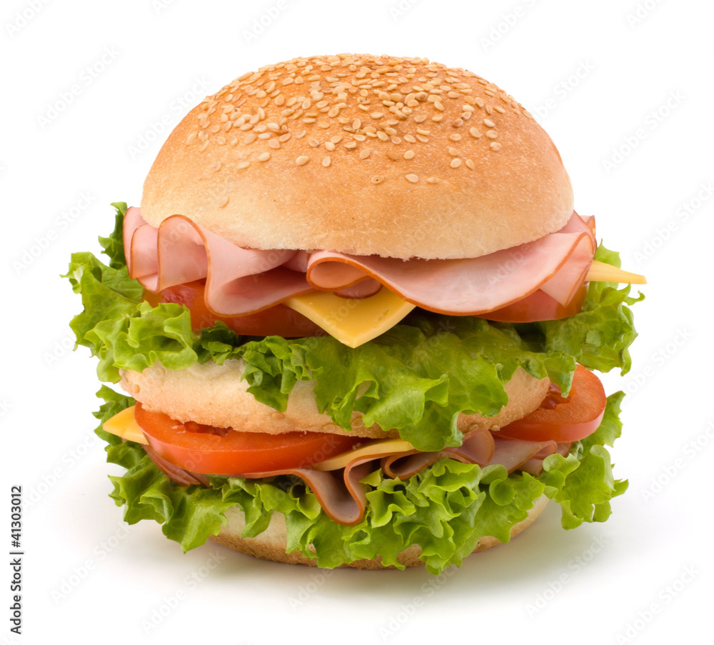 Junk food hamburger Junk food hamburger