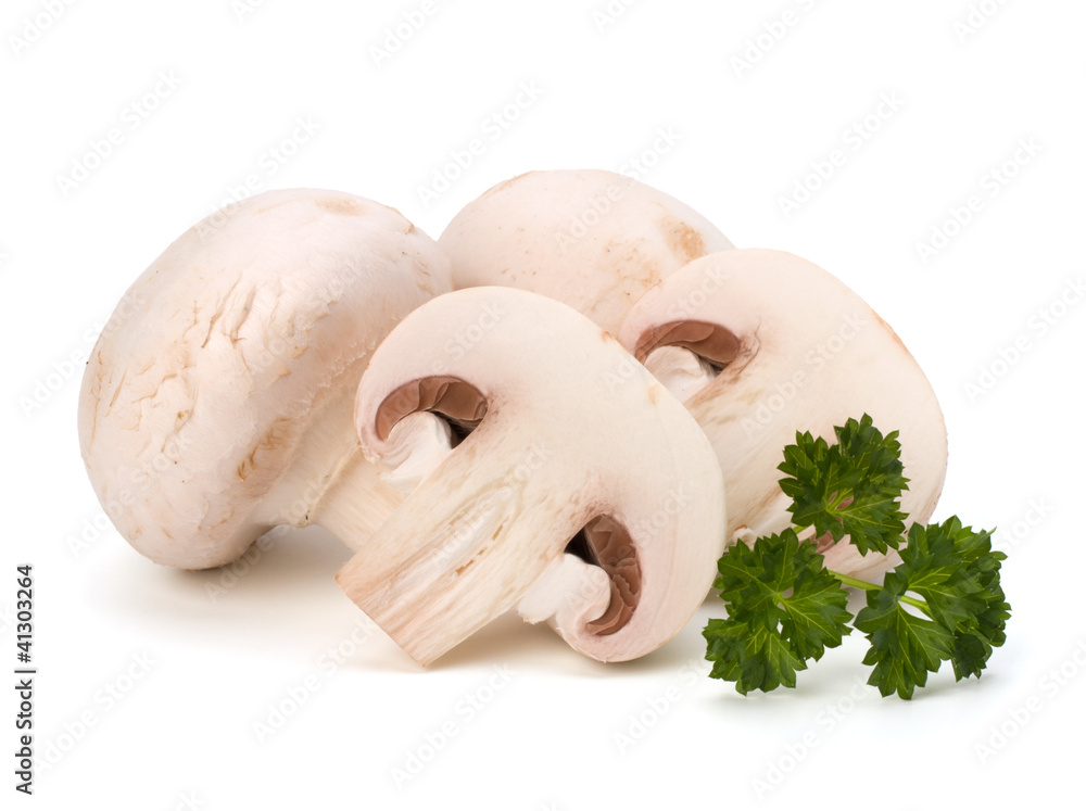 Fototapeta premium Champignon mushroom and fresh parsley