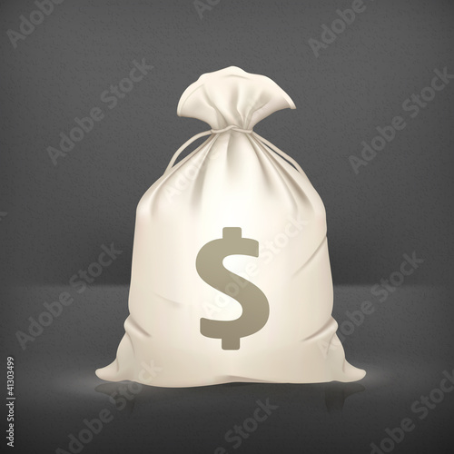 Money Bag, vector