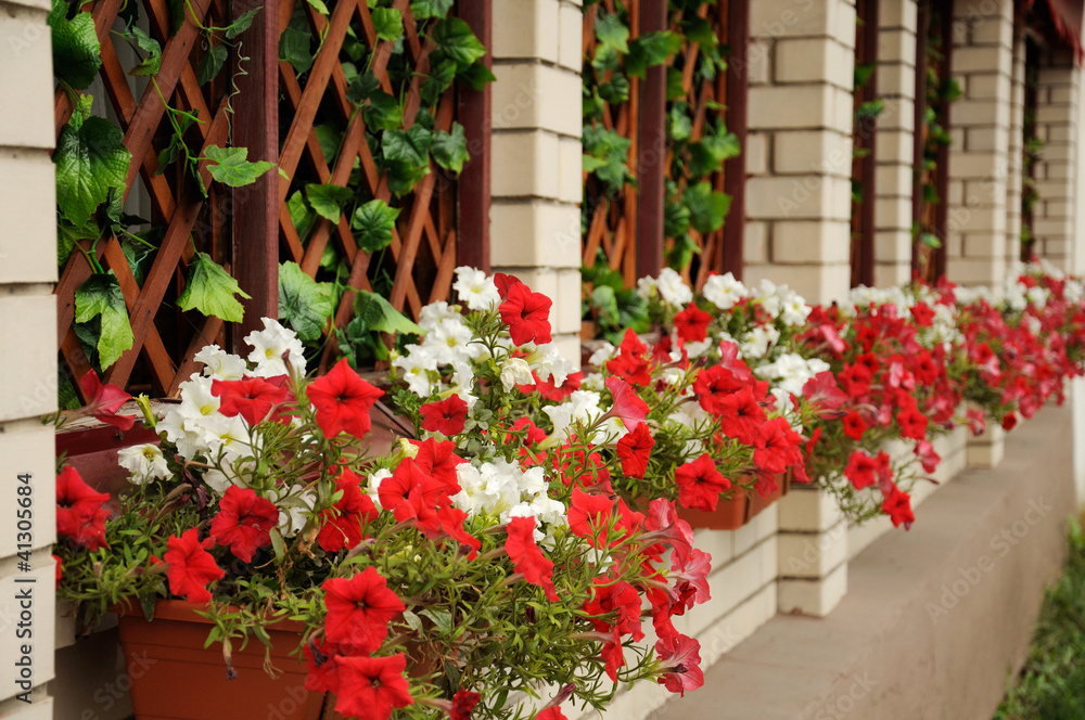 The facade is decorated with petunias