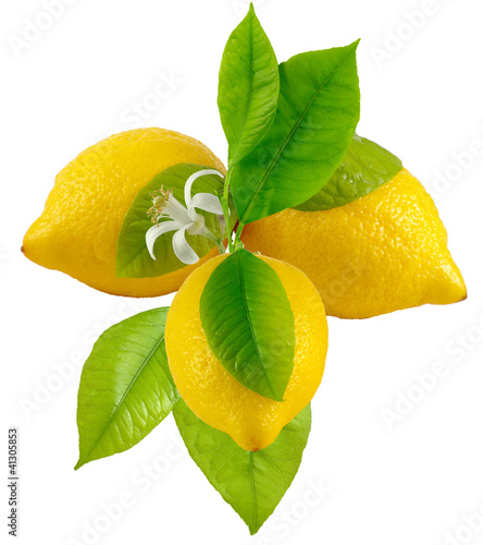 three lemons