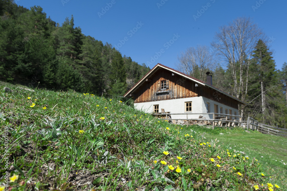 idyllic wooden hut with fresh green grass in front and flowers idyllic wooden hut with fresh green grass in front and flowers