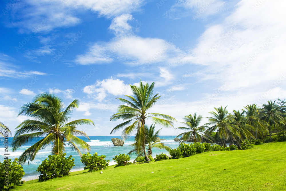Bathsheba, East coast of Barbados, Caribbean