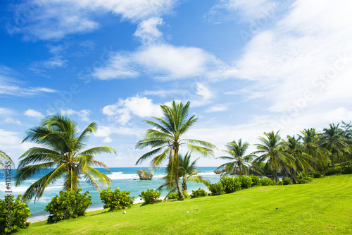 Bathsheba  East coast of Barbados  Caribbean