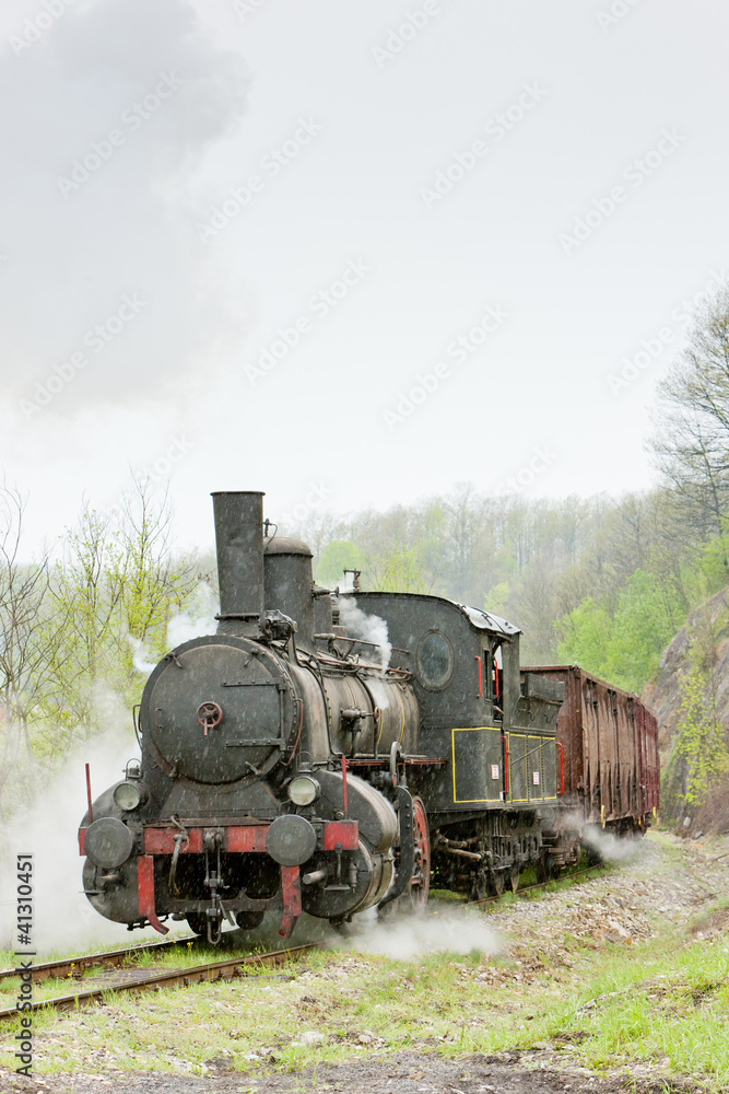 steam freight train (126.014), Resavica, Serbia steam freight train (126.014), Resavica, Serbia