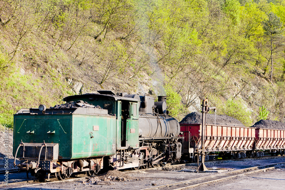 Obraz premium steam freight train, delivery point in Oskova,Bosnia