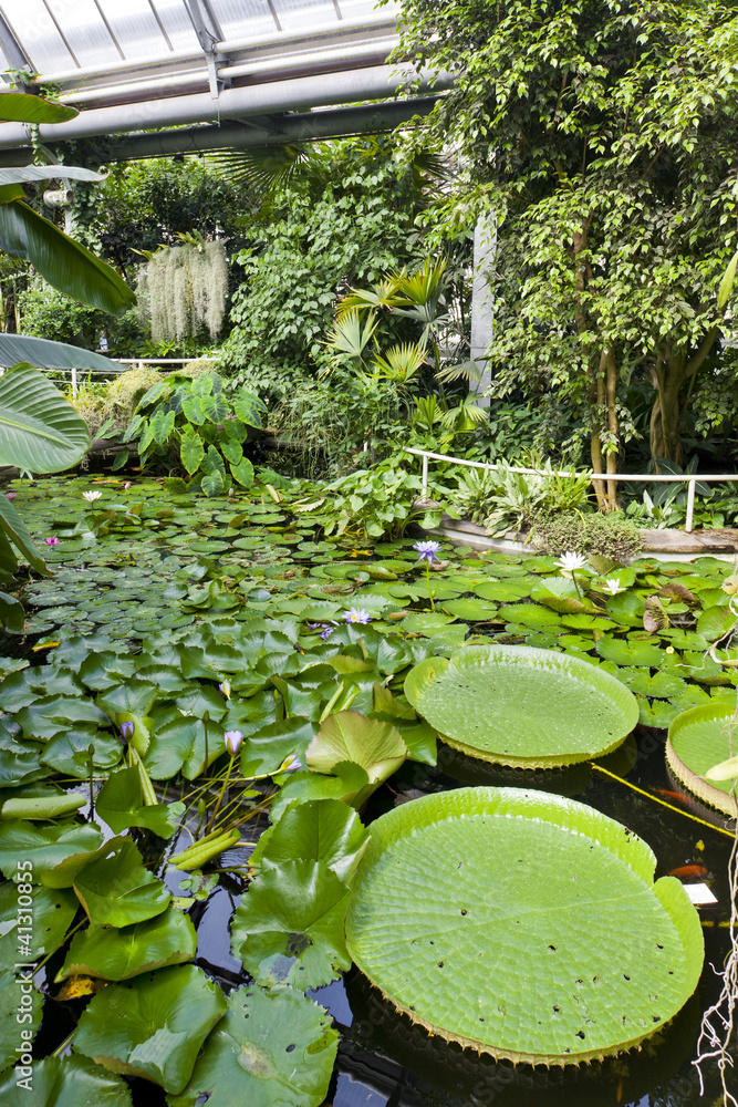 Obraz premium Botanical Garden Na Slupi, Prague, Czech Republic
