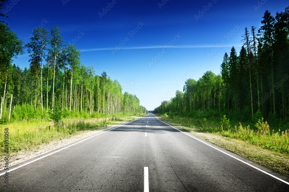 Obraz premium road in Russian forest