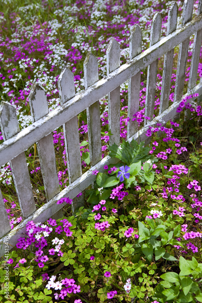 Jardin, printemps, parc, barrière, jardinage, fleurs Jardin, printemps, parc, barrière, jardinage, fleurs