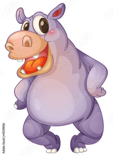 hip hippo
