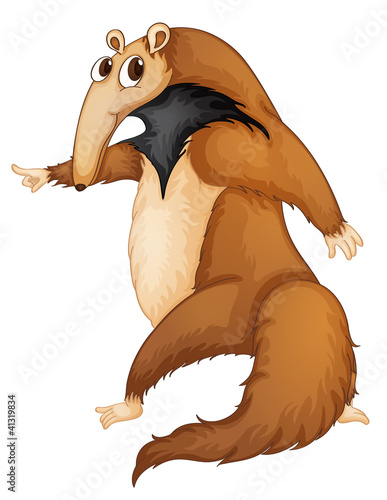 anteater