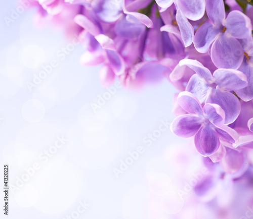 Art lilac flowers background
