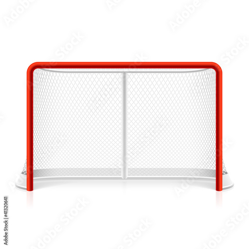 Ice hockey net