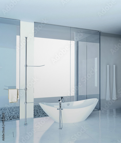 Modern Luxury Bathroom Interior