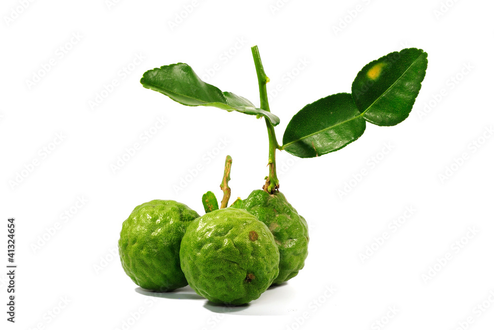 leech lime fruits isolated on white leech lime fruits isolated on white