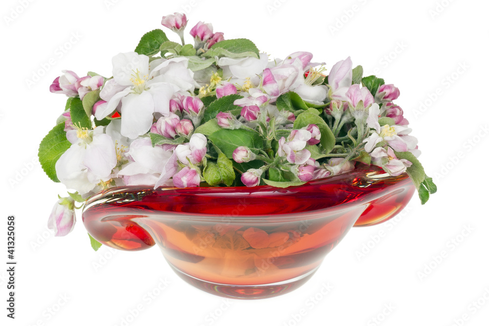 Pink spring apple tree flowers in glass
